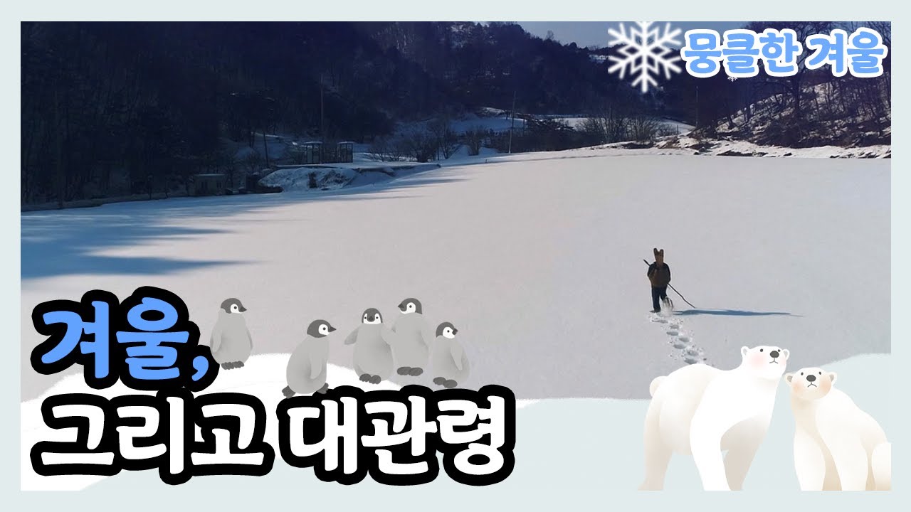 [뭉클한 계절 시리즈 '겨울'❄️] 대관령 사람들에게 평창 동계 올림픽은 영광일까 상처일까 | KBS 다큐세상 20200307 방송