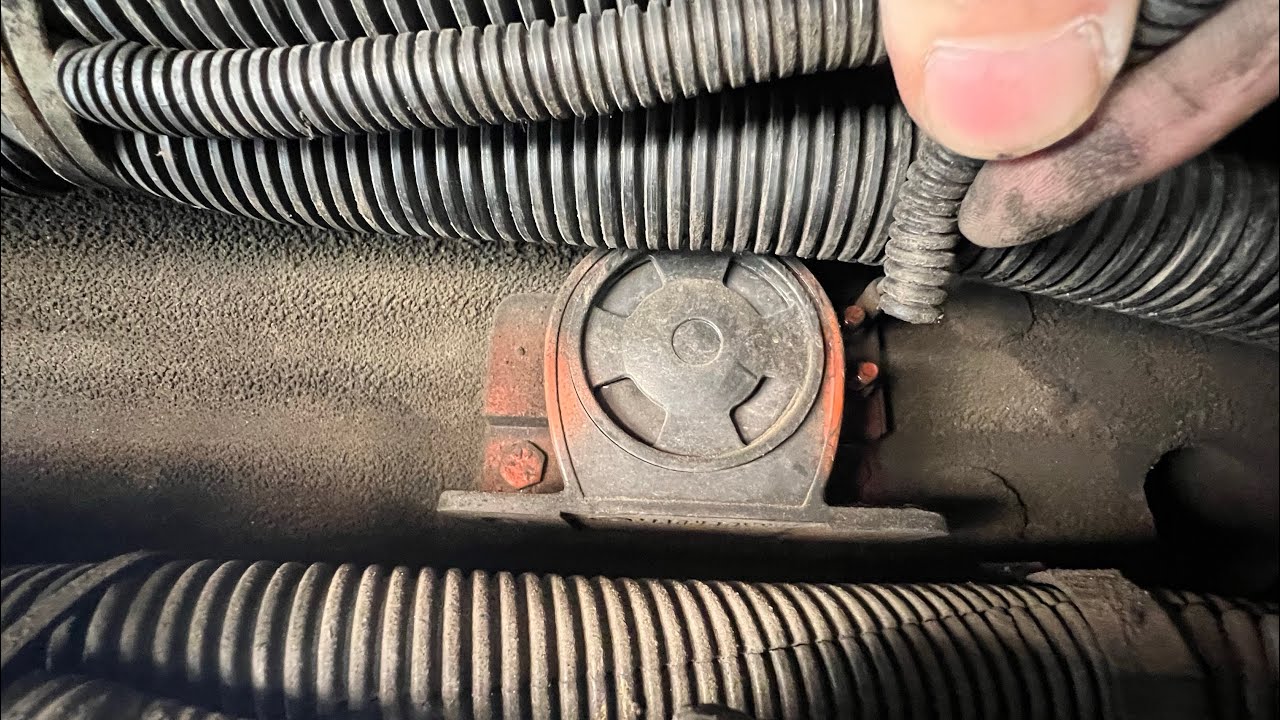 Bus backup alarm removal @skooliebuilders