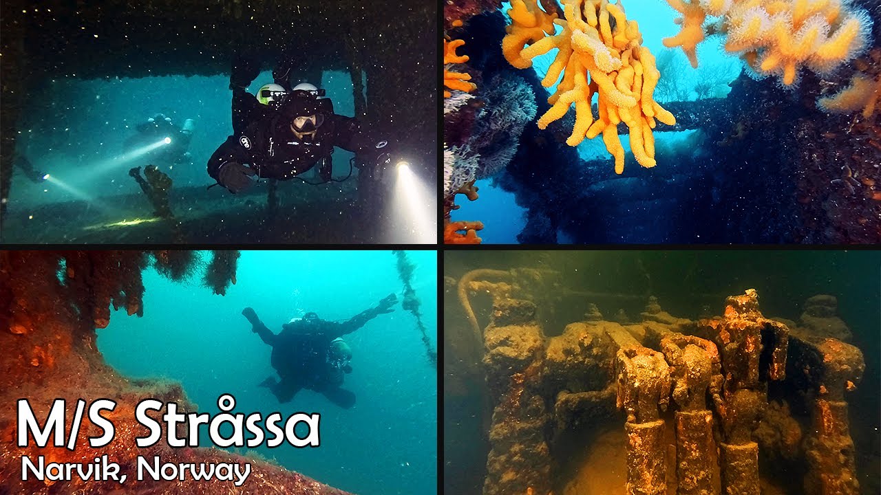 Exploring the shipwreck M/S Stråssa in Narvik, Norway