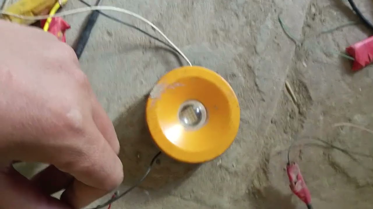 سائنس