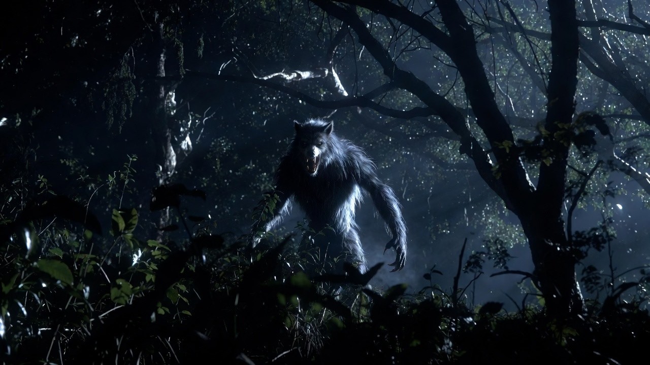 O LOBISOMEM TENTOU INVADIR MINHA CASA NO MARANHÃO