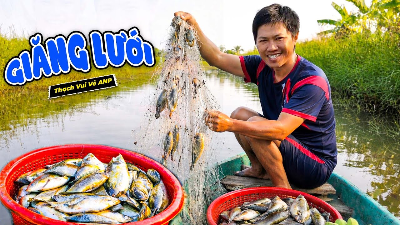 Hai Cha Con Đi Giăng Lưới Được Mẻ Cá Đồng Siêu Ngon - Thạch Vui Vẻ ANP