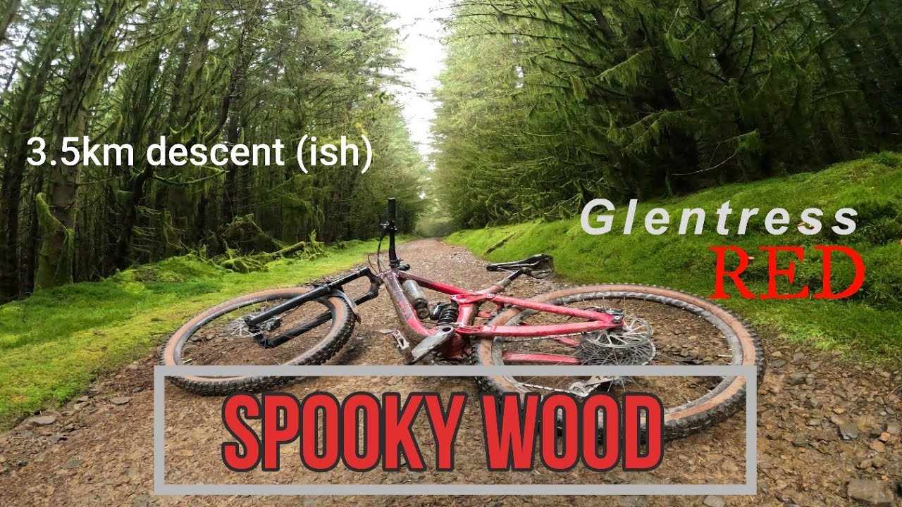 Glentress Red is a classic after all - Spooky wood, Super G, Hit Squad hill and Pie Run mashed up!