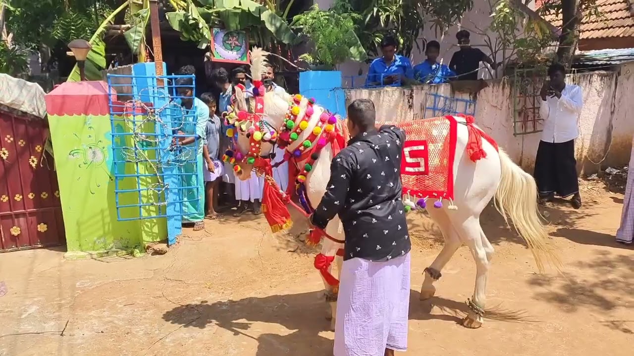 HORSE DANCE TAMILNADU 🐎😚🥁🎷🎶🎹(2)