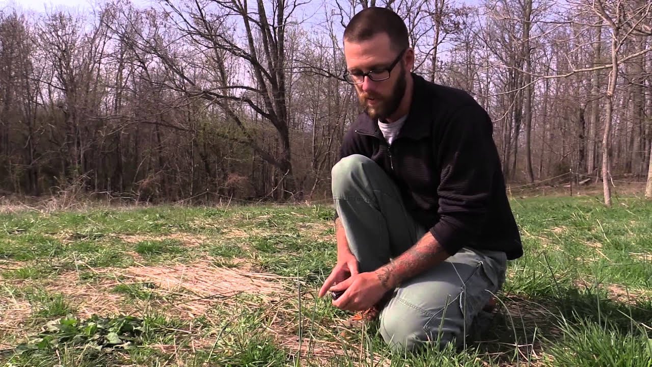 Earth Village Education Presents: Wild Virginia Edibles with Tom Brown III