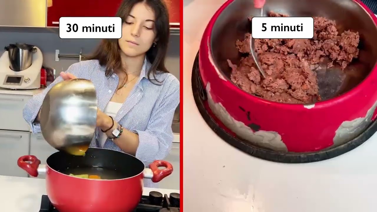 Cucinare per il cane Vs Alimentazione casalinga Dog Heroes