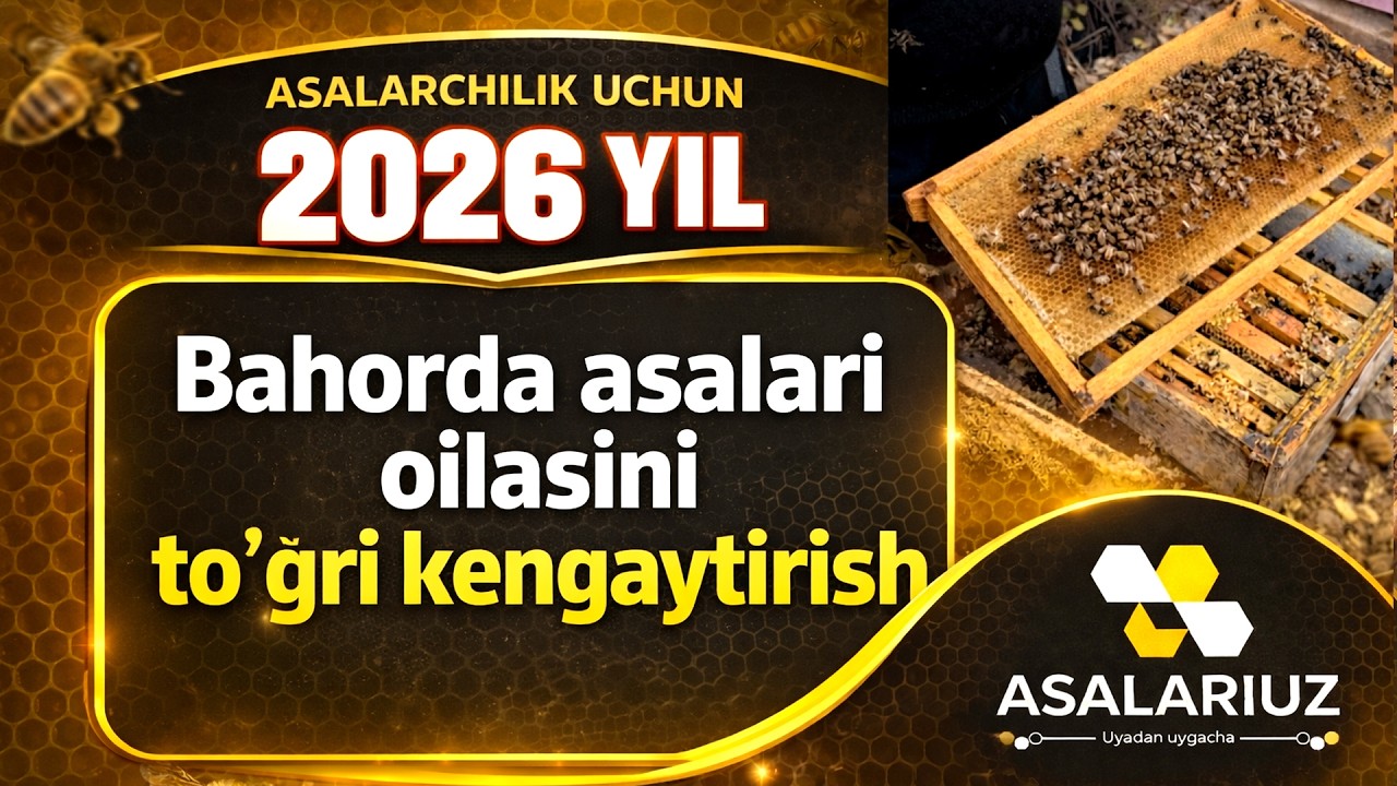 15  Mart 2026 yil. O'rta xol asalarilarni to'g'ri kengaytirish usuli.