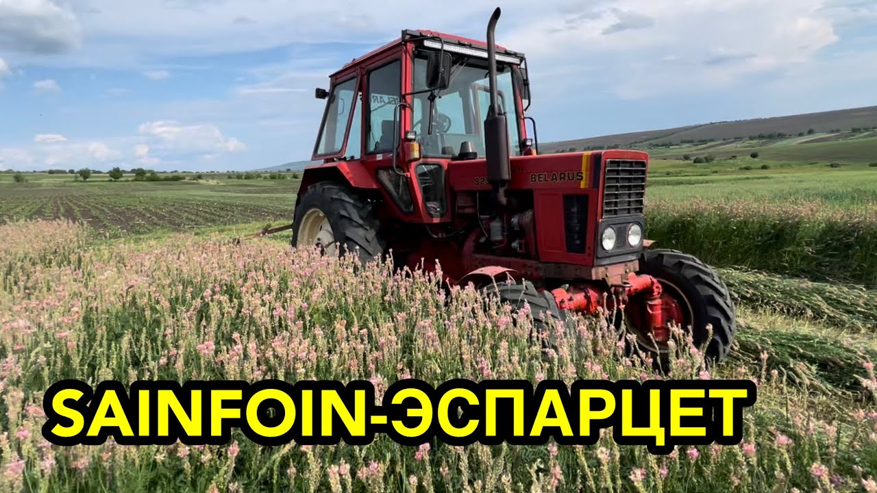 MTZ 82  BELARUS TRACTOR SUMMER 2022