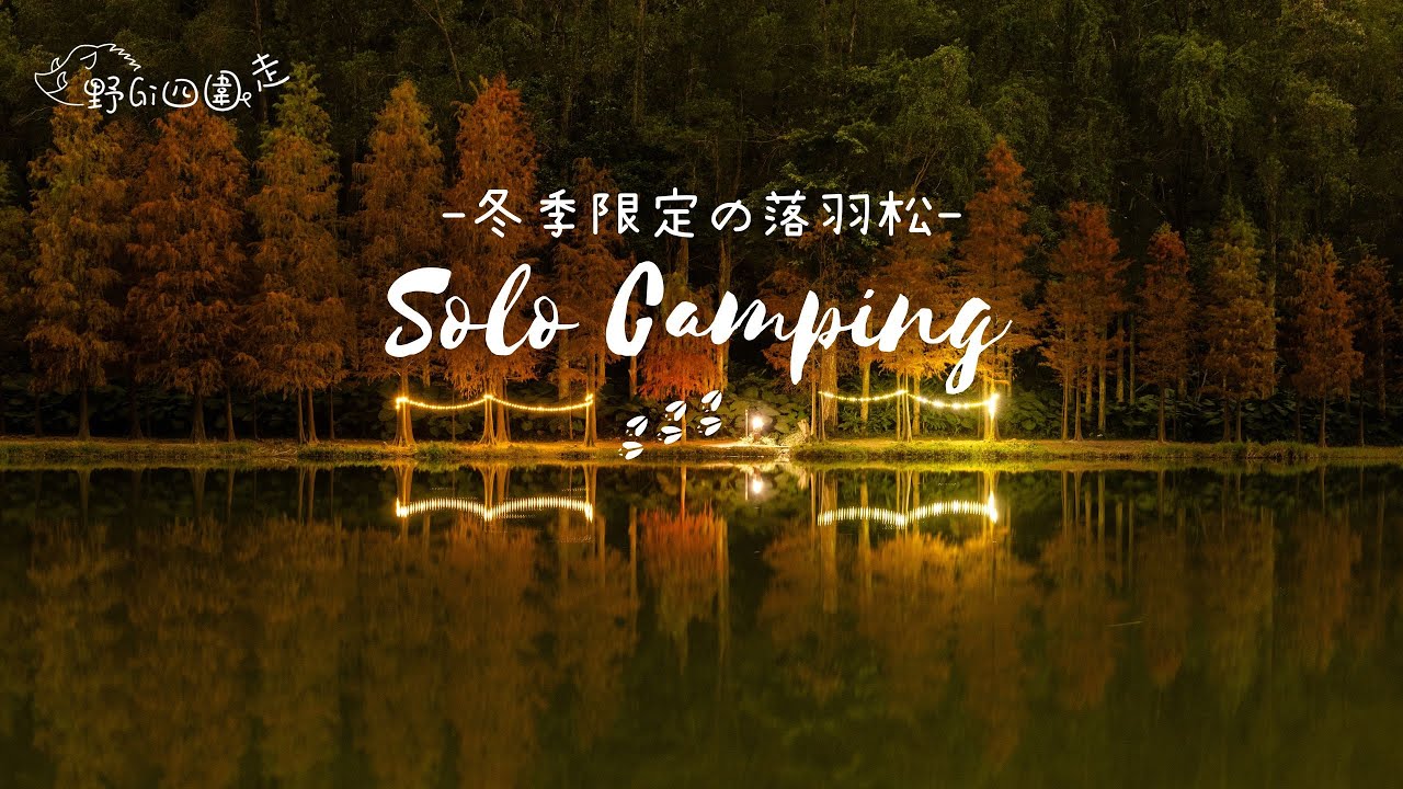 Solo Camping | 流水響露營 | 露營與落羽松 | 初級露營地點 | 航拍 | 4K | 山野無痕