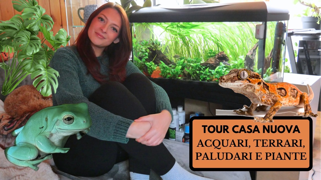 TOUR CASA NUOVA! Vi mostro i miei acquari, terrari paludari e piante 🐠🐸🦎