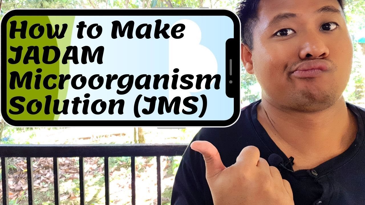 How to make JADAM Microorganism Solution (JMS) (Paano gumawa ng JADAM Microorganism Solution)
