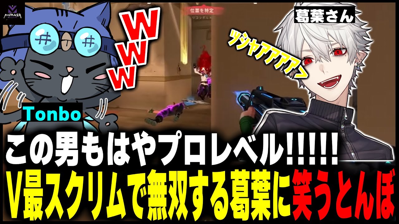【VTuber最協決定戦】葛葉さん最強！蜻蛉軍団スクリム全勝【チーム5】【V最練習11/15 】
