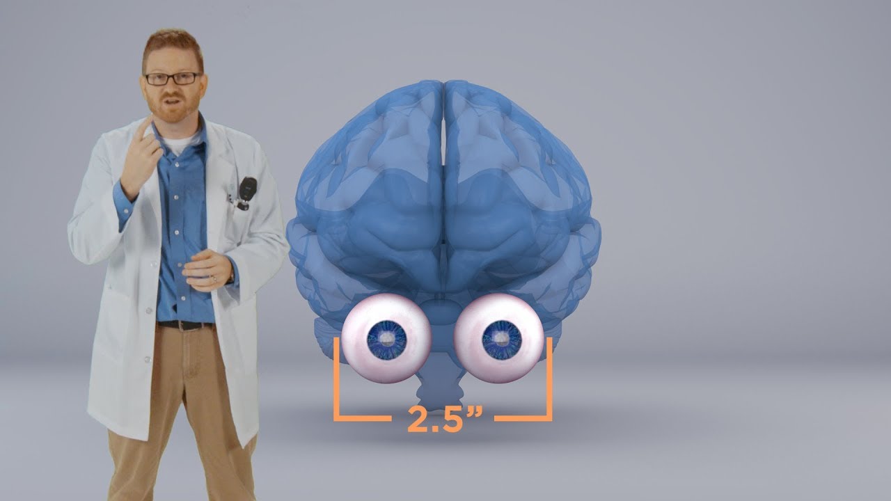 Journey Through an Exam