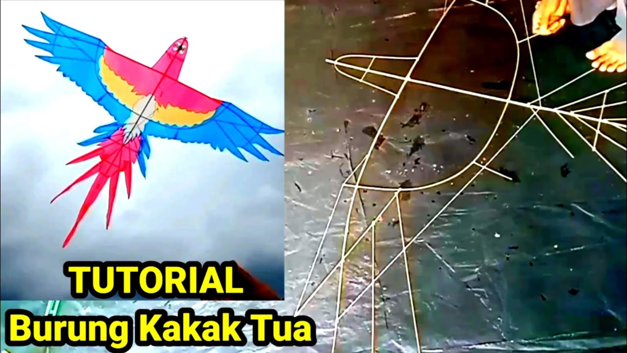 AMAZING...! Cara Membuat Layang Layangan Burung Kakak Tua dari bambu