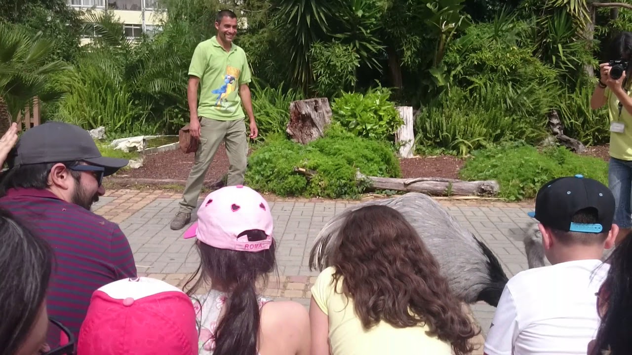 Jardim Zoologico de Lisboa  - Show de Aves
