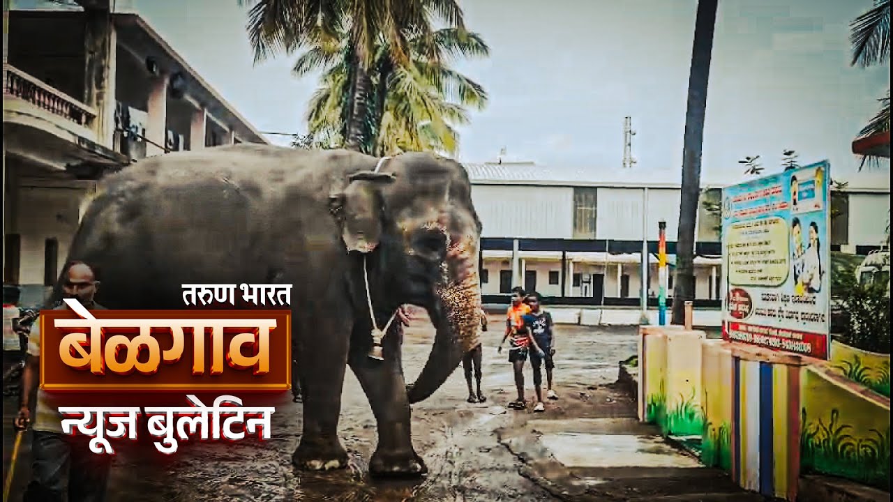 बेळगाव न्यूज बुलेटिन | Belgaum News Bulletin | 09-08-2025