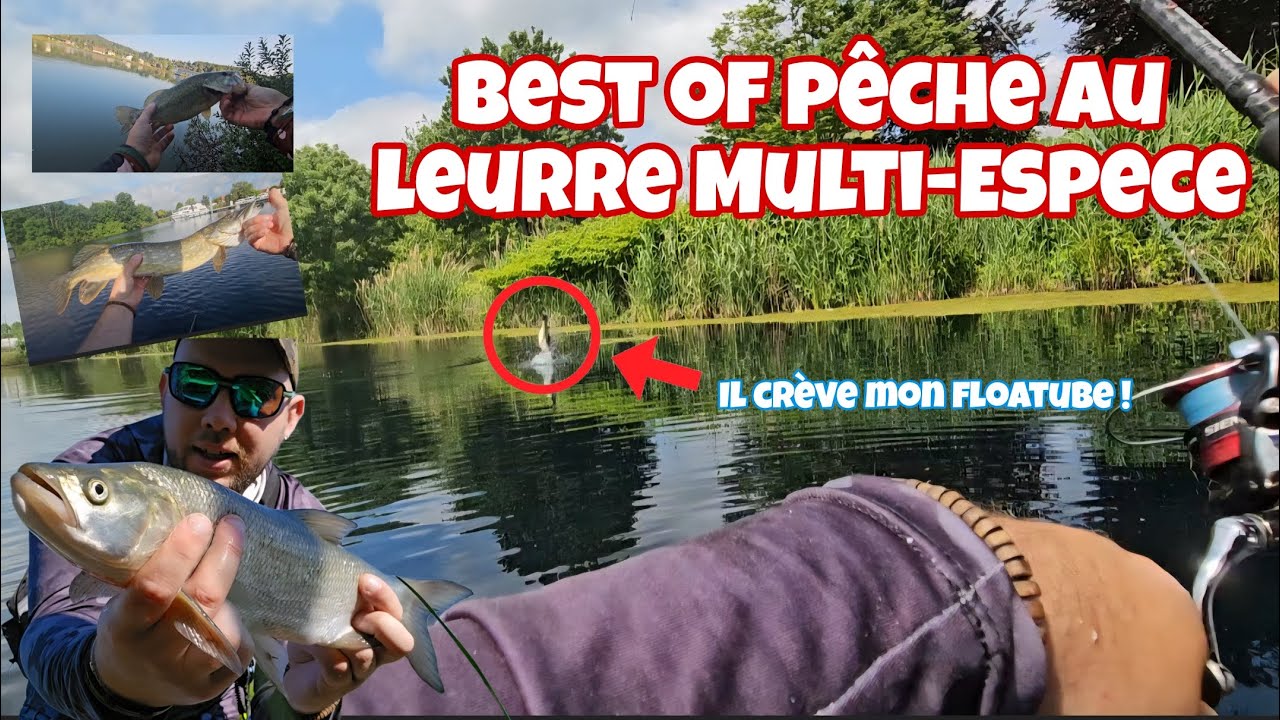 BEST OF MULTI-ESPECE Pêche au Leurre 🎣