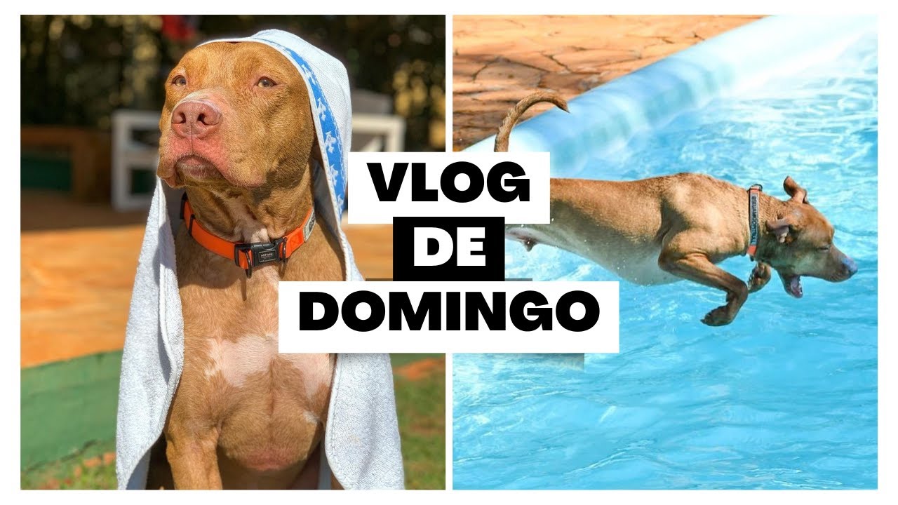 VLOG PET FRIENDLY #5 | Hotel Fazenda Pet Friendly em Itú | Clube de Caompo