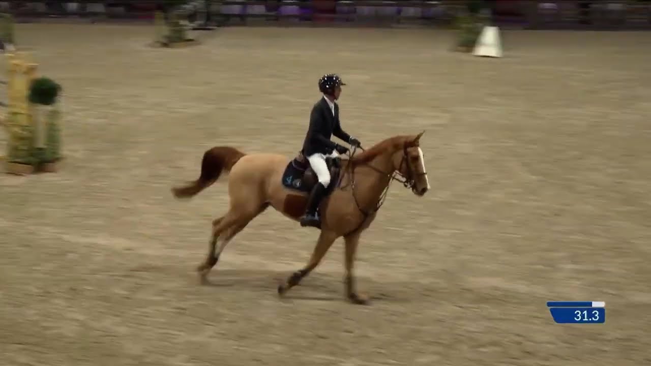 CSI2* Lier - Kevin Staut & Queen's Balou B - 1.35m en deux phases - 2026