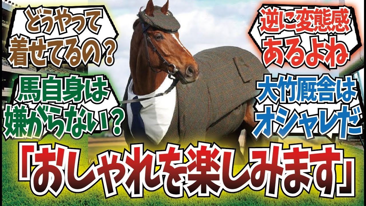 「服を着ている馬可愛いよね」に対するみんなの反応集