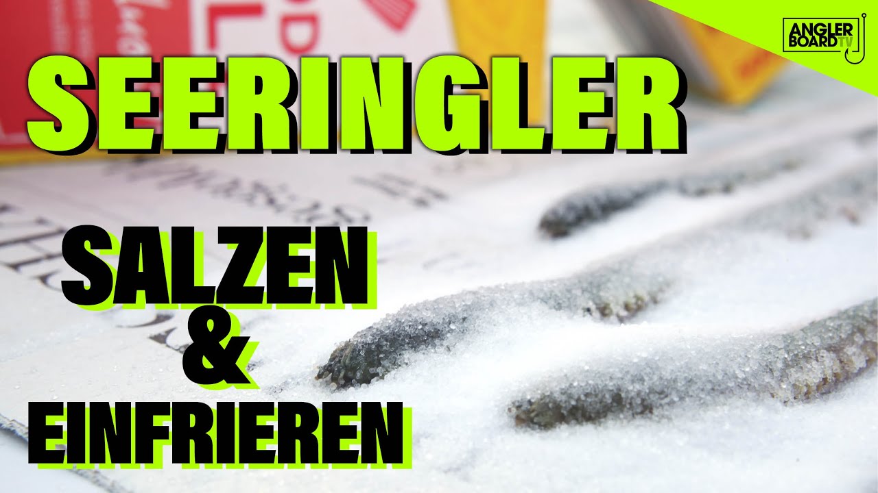 Seeringelwürmer haltbar machen | Würmer salzen und einfrieren | Meeresköder | Würmervorrat