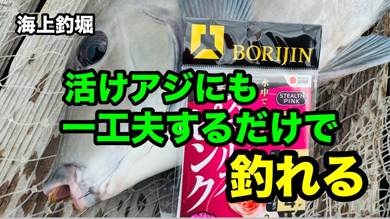 【海上釣堀水宝】活けアジにも一工夫するだけで釣れる @Pポチさん​