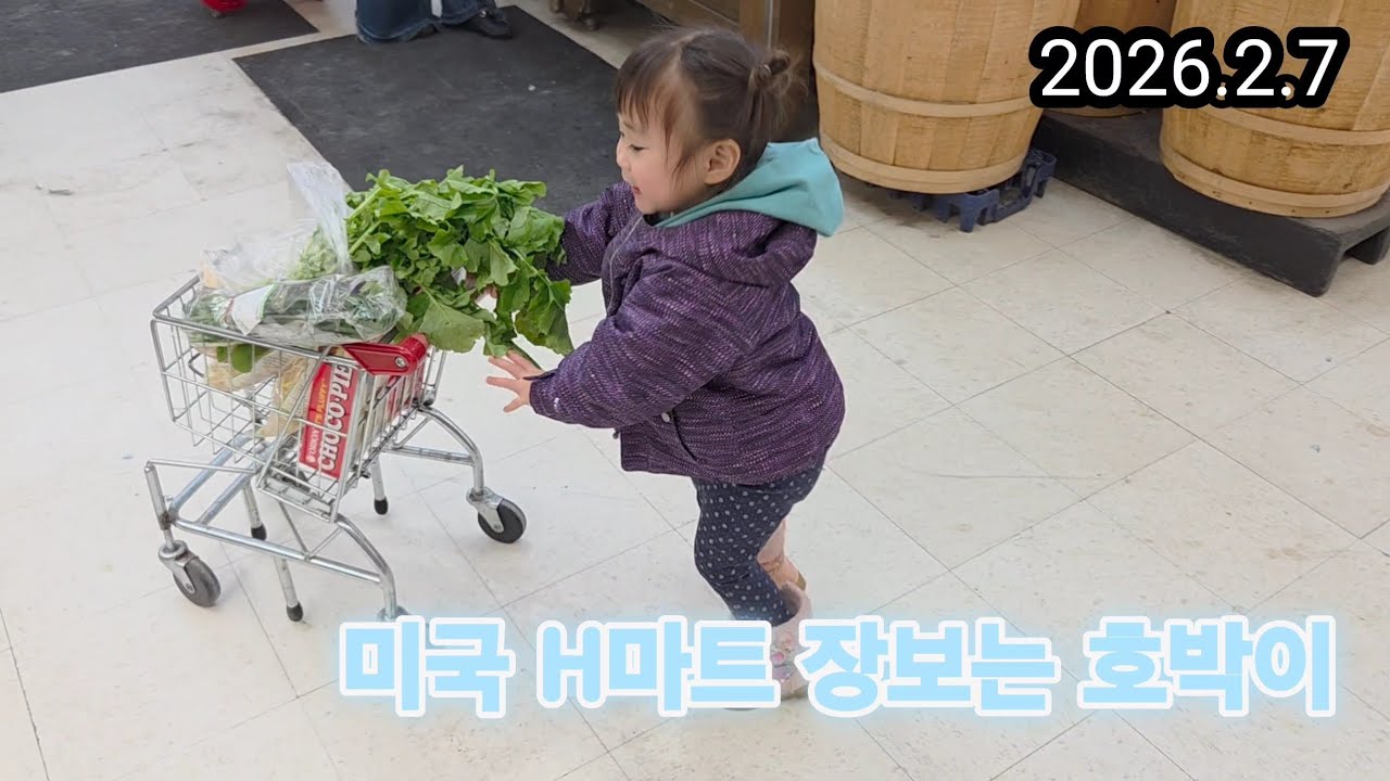 [미국생존기] 설날맞이 에이치마트 장보는 호박이 20260207 #미국h마트 @us_dalimitv #한국장