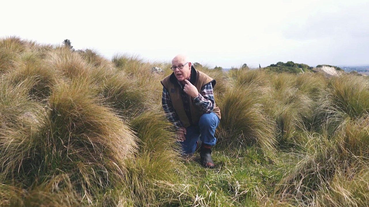 Biodiversity with Ruud Kleinpaste
