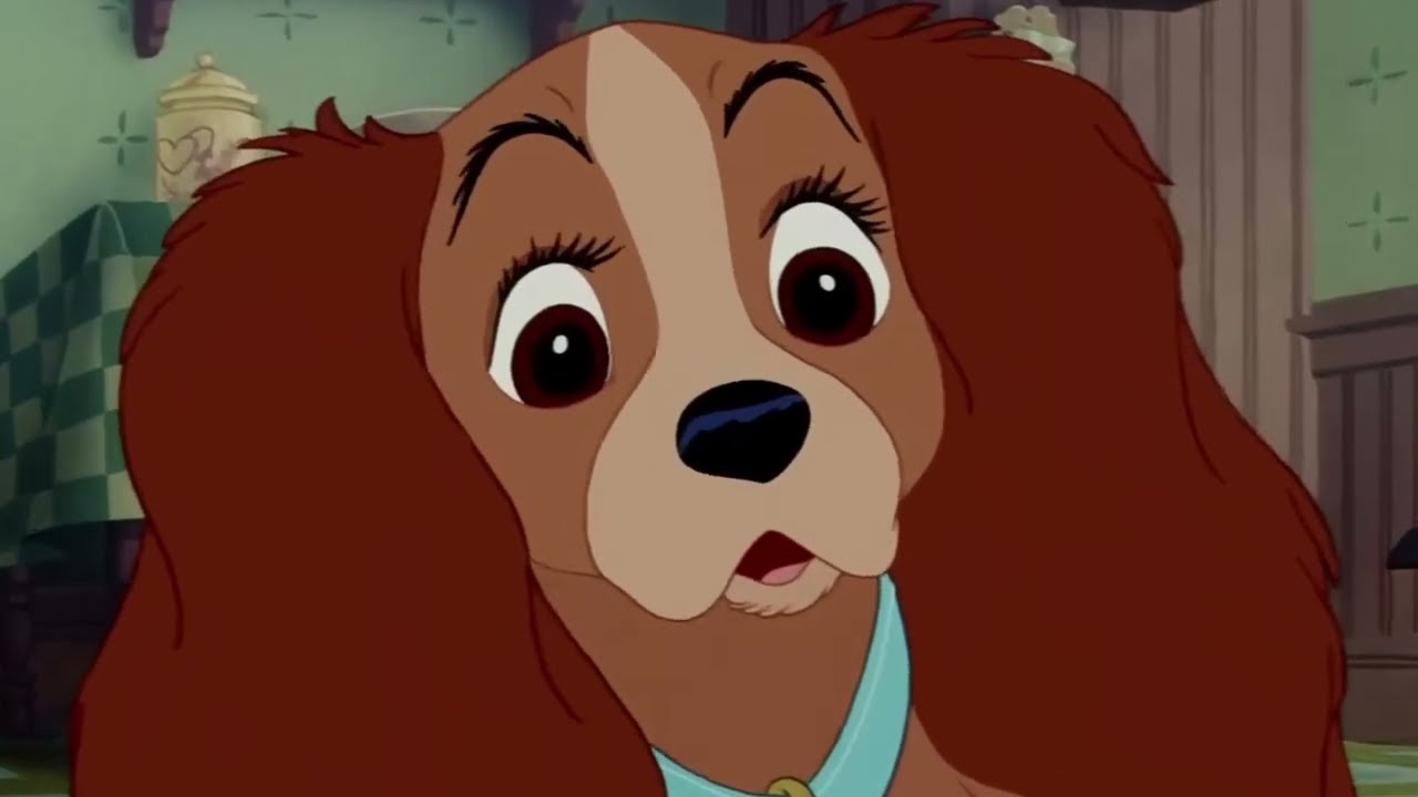 Lady Scene Pack part 3 | Lady and the Tramp