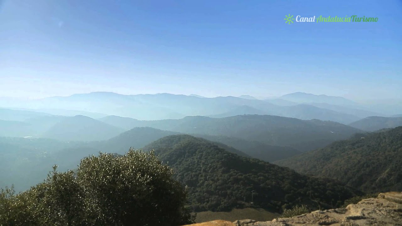 Paraje Natural Los Reales de Sierra Bermeja. Genalguacil. Málaga