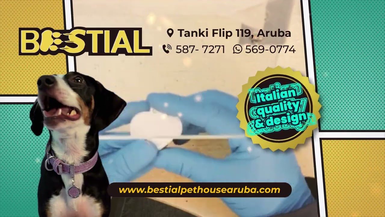 Original Pet Tags in Aruba? Only at Bestial!