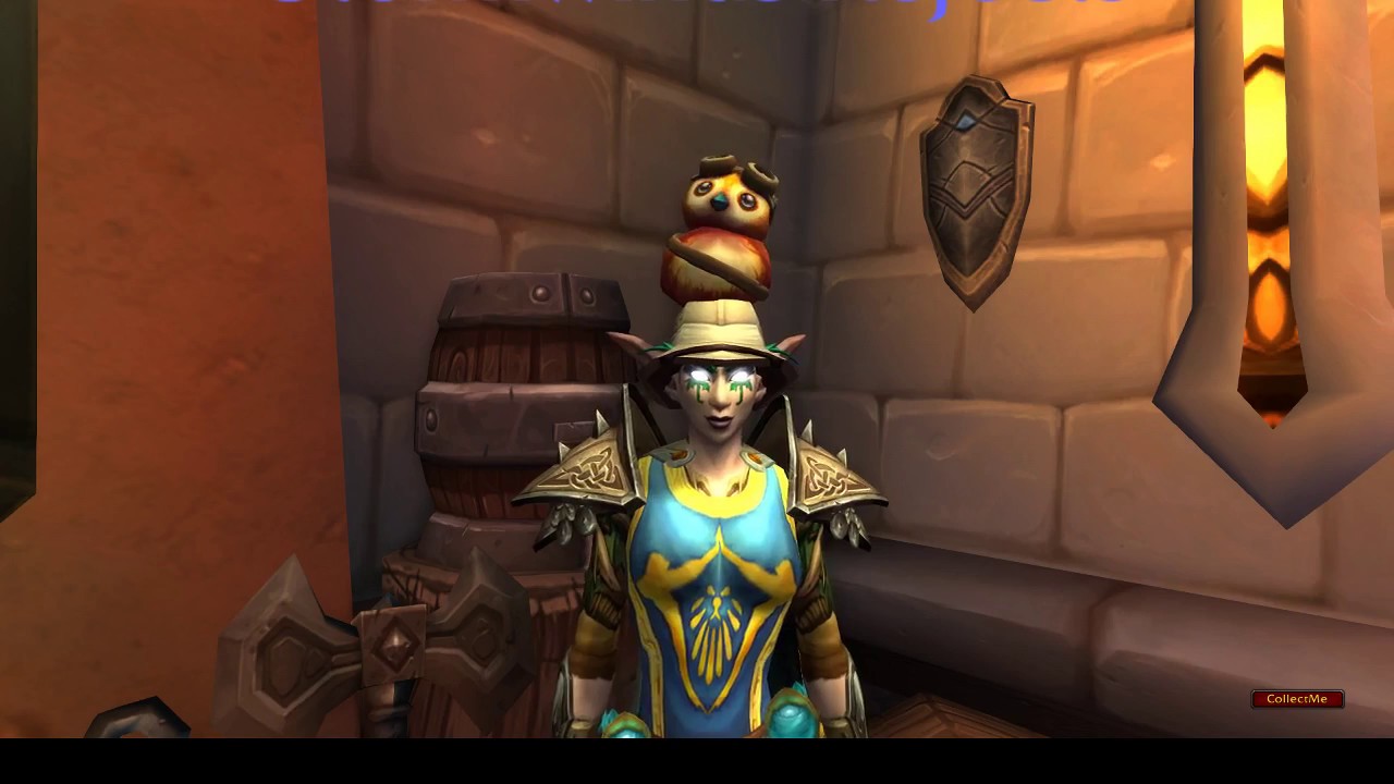 The Tangerine Traveler Achievement - New Location I found Traveller Pepe - WoW Warcraft Legion