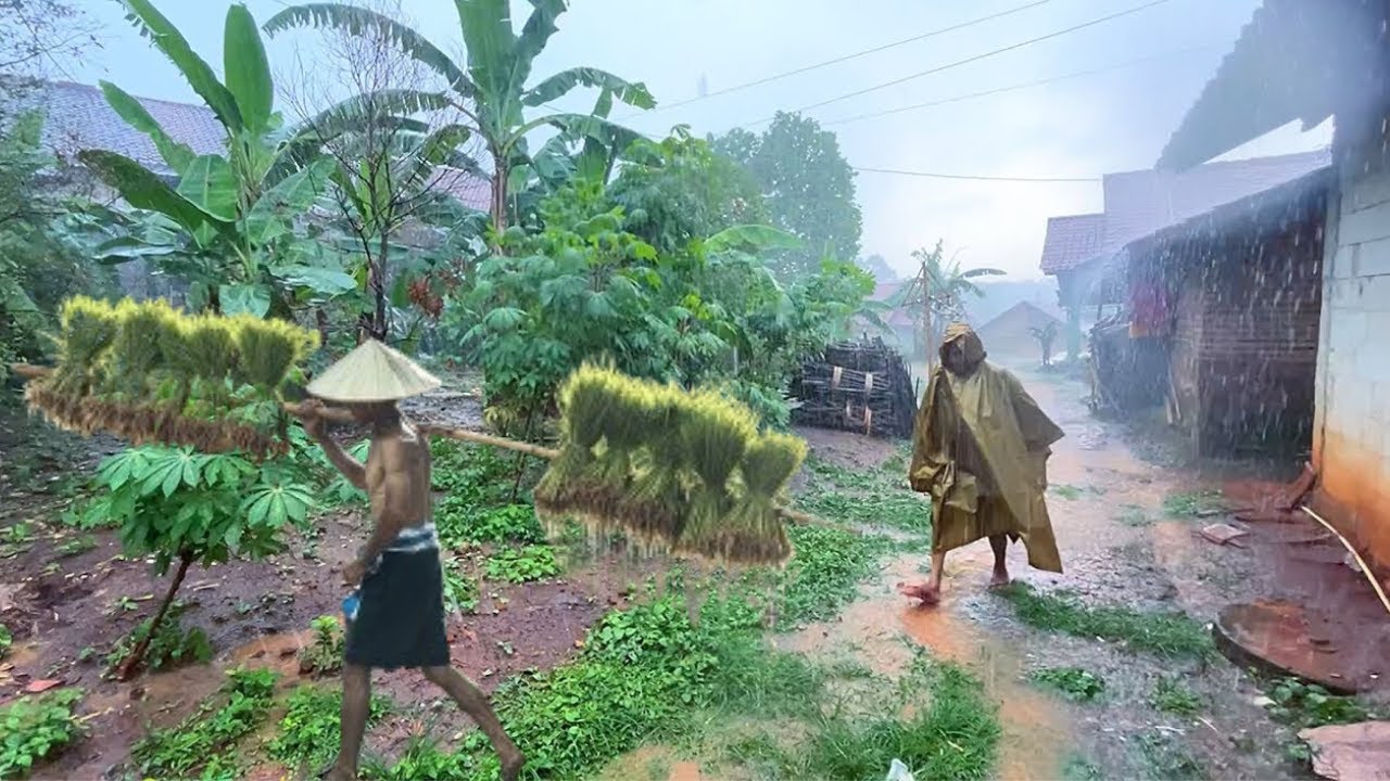 Heavy Rain and Lightning on a Beautiful Dusk | Terrible Thunderstorms in Rural Indonesia