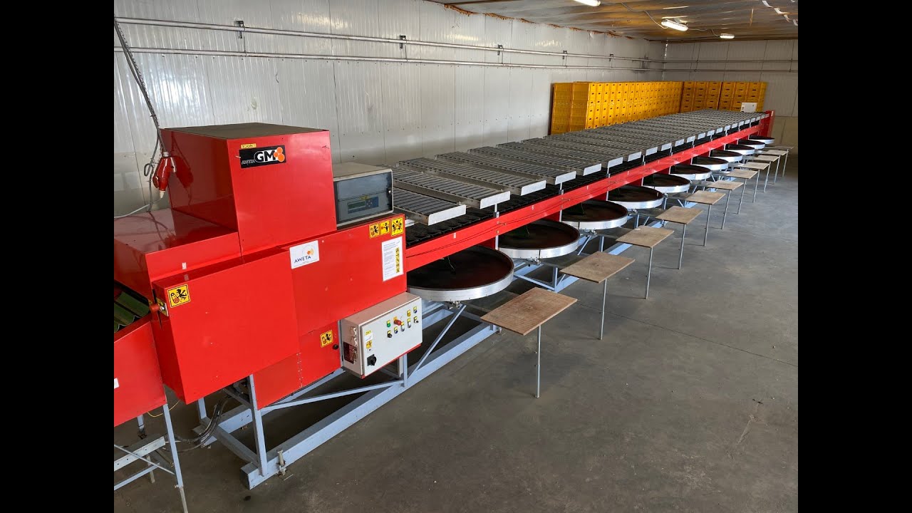 DS Hortitrade - Cucumber grading machine Aweta GSM 11 + 1