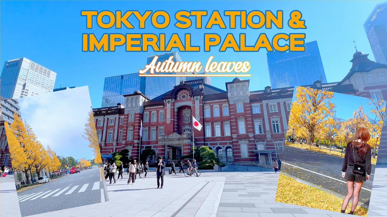 Tokyo walking - Tokyo Station & Imperial Palace/Ga Tokyo & Hoàng Cung Nhật Bản mùa lá đỏ/東京駅皇居紅葉