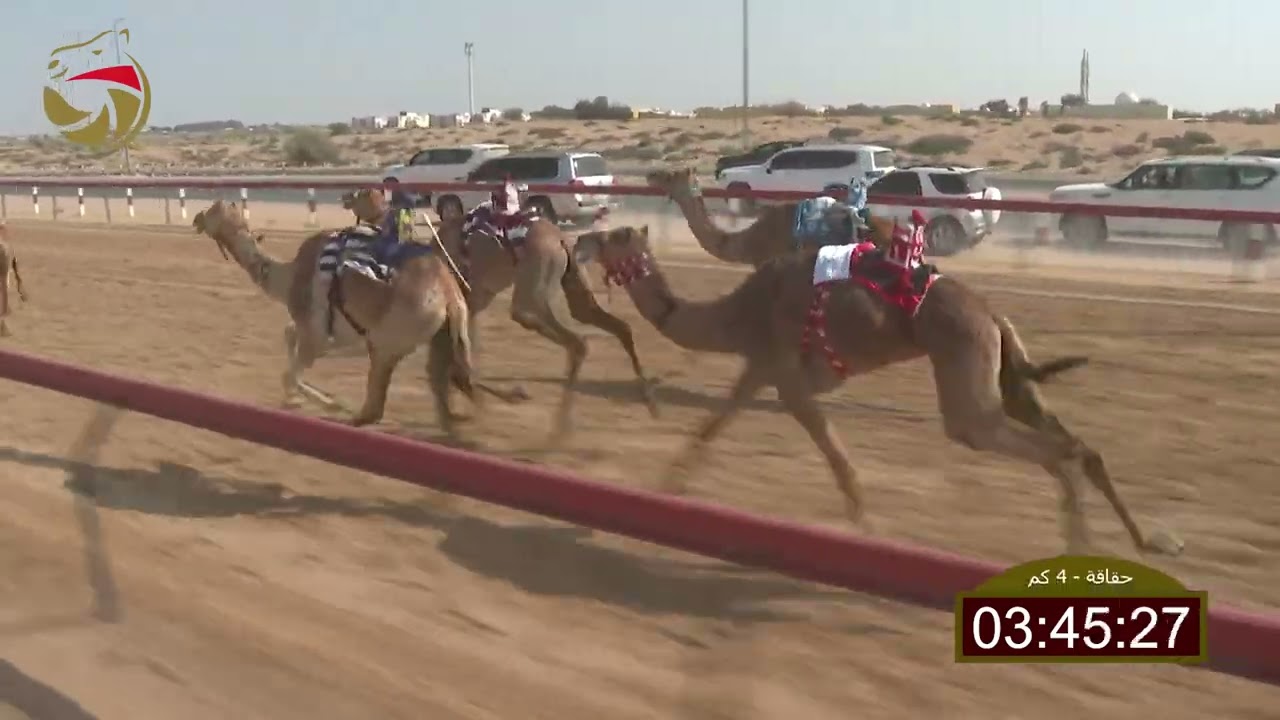 سباق الحقاقة – لهباب 01-03-2026 ش11 الواريه لـ محمد سعود حمود السيفي  6:03