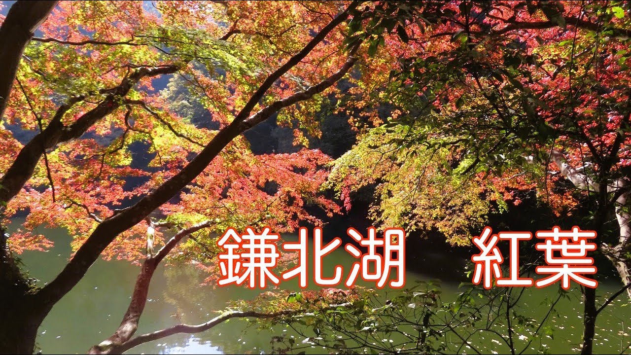 鎌北湖紅葉　深まりゆく秋　2025.11.17