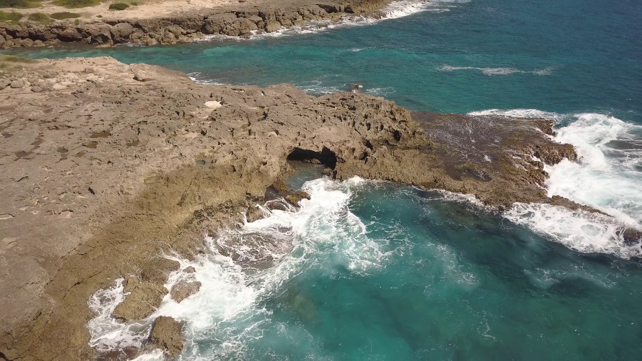 Took a few pic's a Kaena Point. Here's a teaser...more to come when we get home.