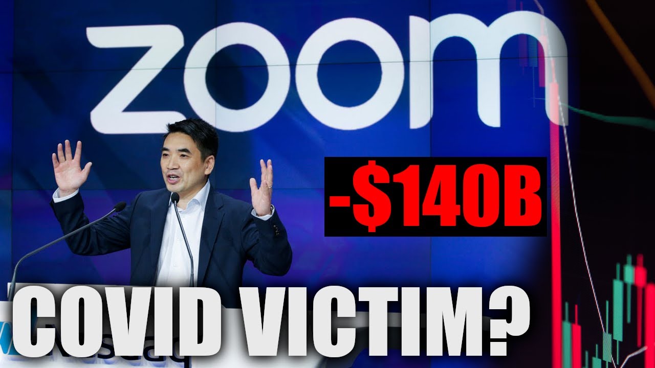 The Rise and Fall of Zoom Stock