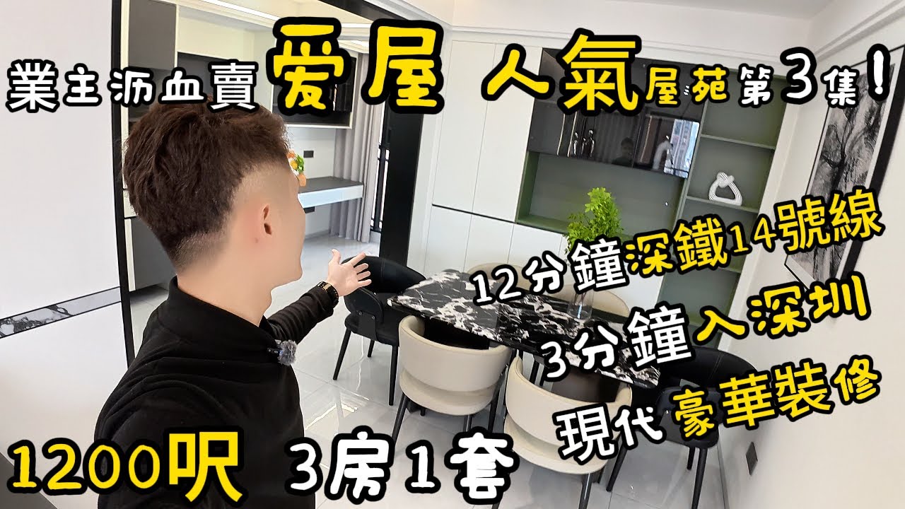 近深鐵14號線千呎3房1套｜現代豪華裝修！個單位真心唔错！平民價位入手大積單位！交通密集，商業配套成熟，度假/養老都啱！