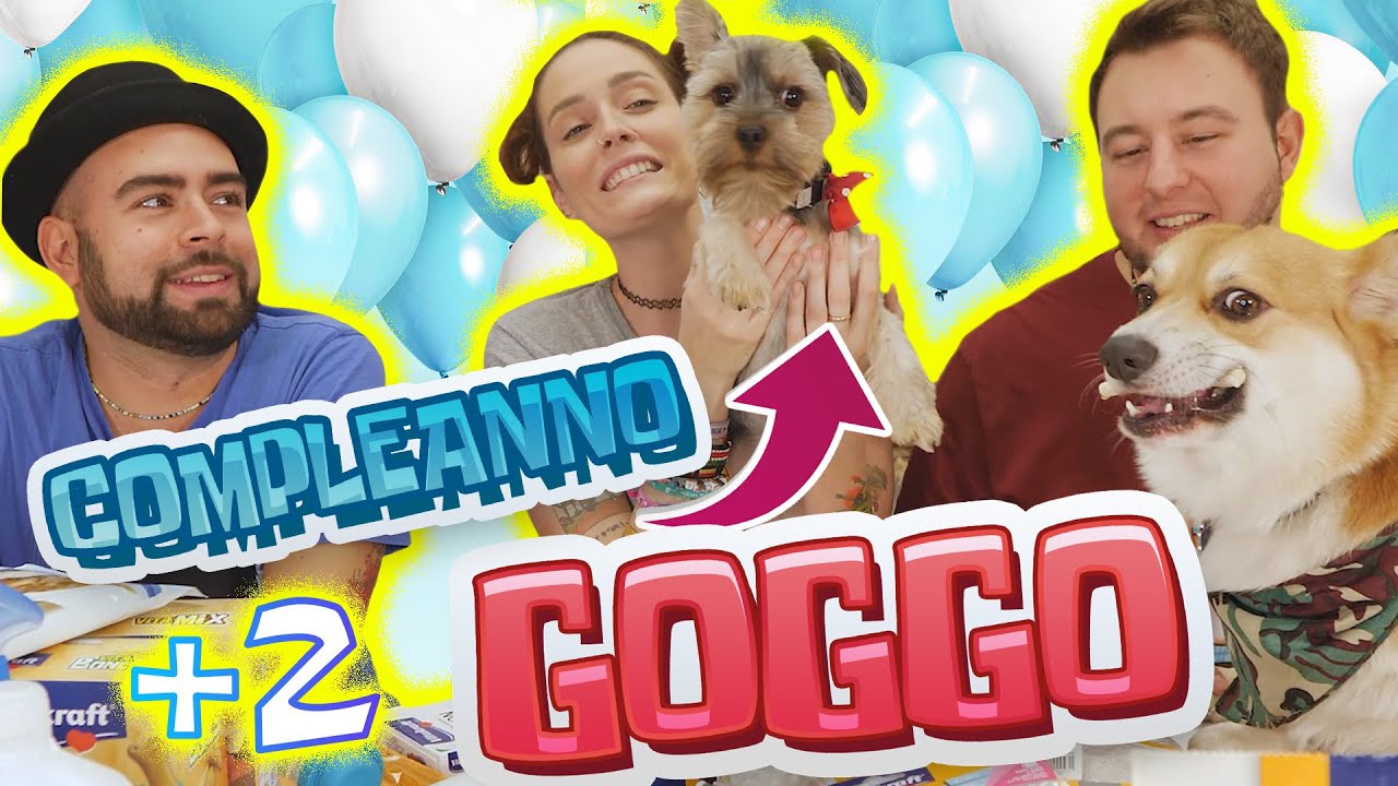 COMPLEANNO DI GOGGO! Facciamo la FESTA con POPOFF e apriamo tantissimi REGALI! 🍰🐕