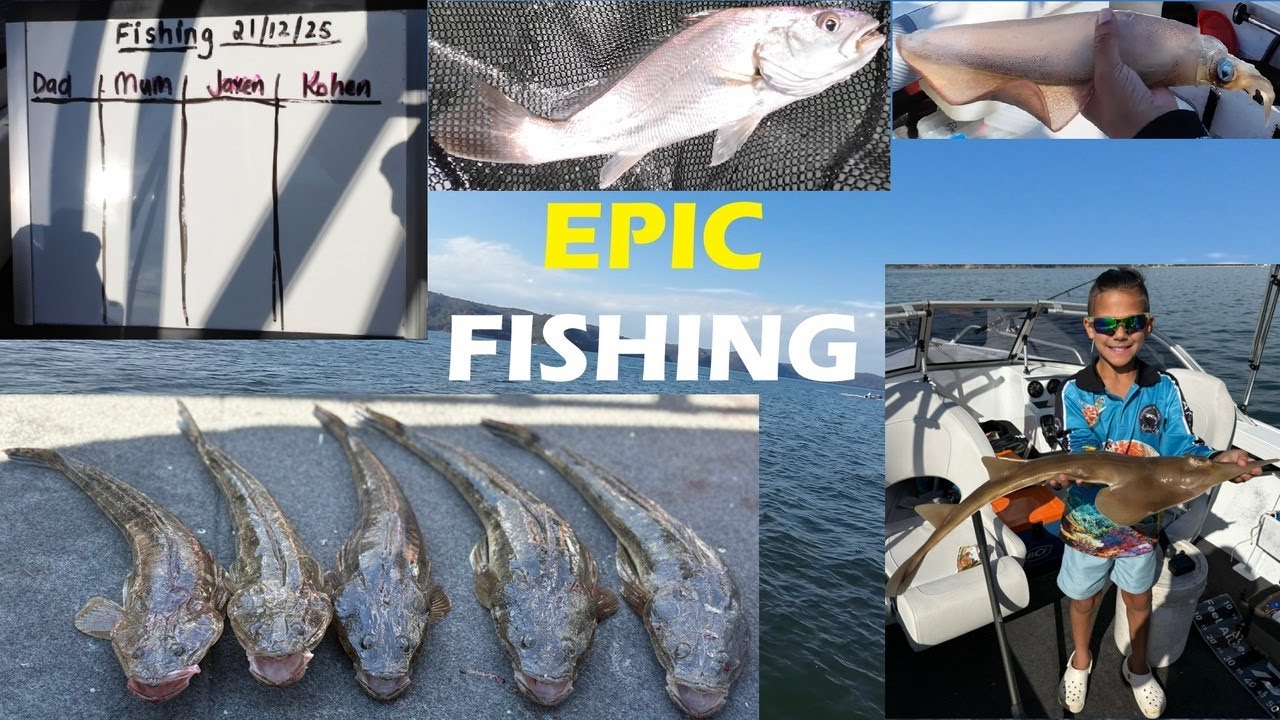 Hawkesbury River Fishing - Flathead Feast, Jewfish, Squid, Shovelnose, Banjo Shark - 21/12/2025