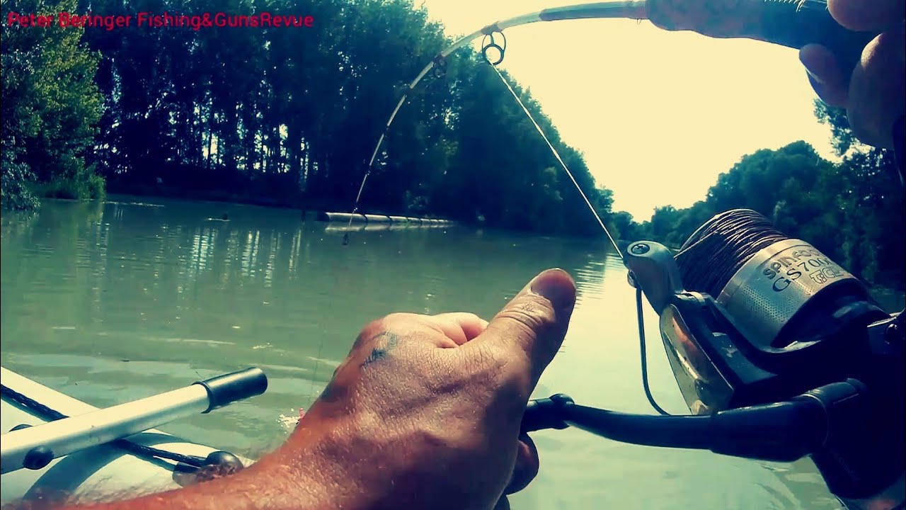 Catfishing /Silurus Fishing