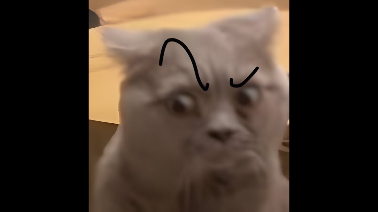 Actualizando medalla | Dota 2 | #creator