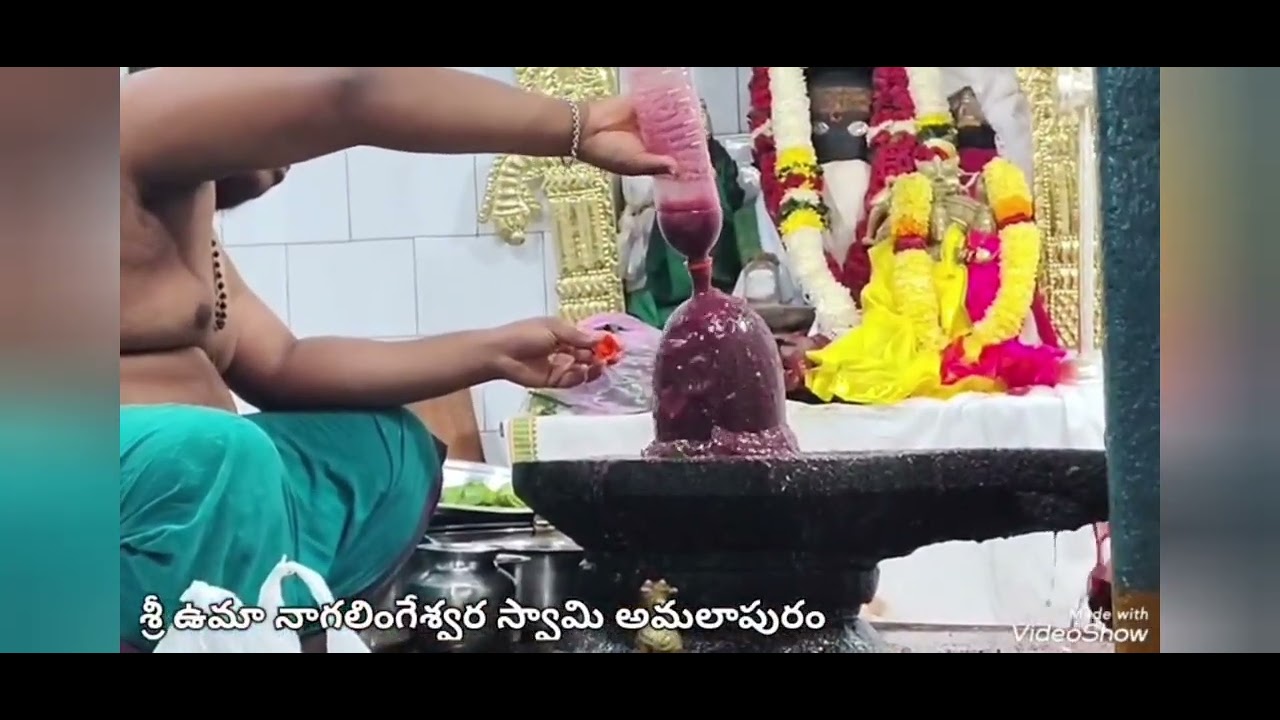 మహాశివరాత్రి సందర్భంగా శ్రీ ఉమా నాగలింగేశ్వర స్వామి వారి అభిషేకం