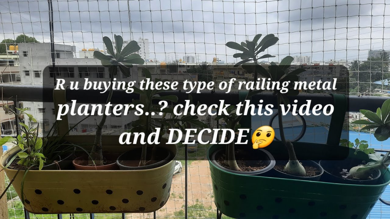 Railing metal planters..  Deal👍/No Deal👎 #youtube #shorts #planters #metal planters #balcony #garden