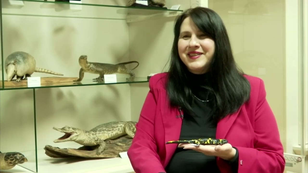 Vodozemci i meku&scaron;ci - Priroda Beograda / Ekologizacija