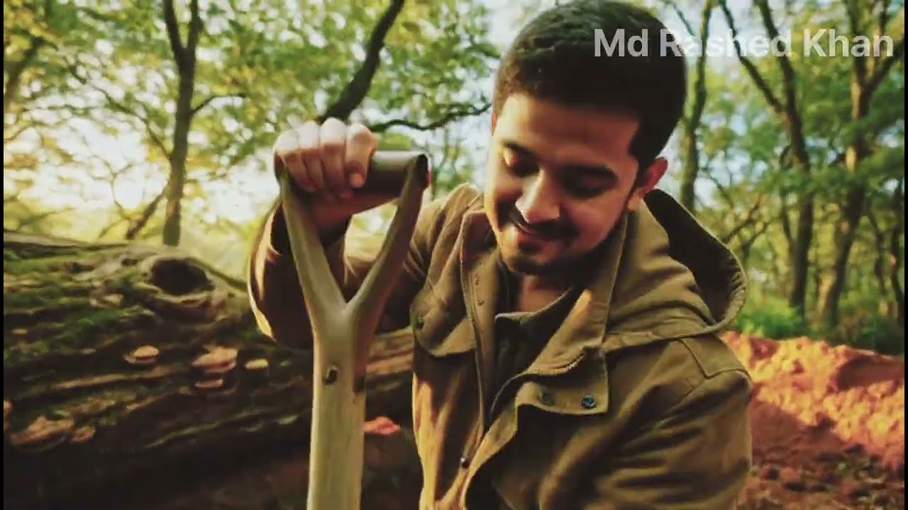 Building a Hidden Basement House in the Wild Forest (ASMR)