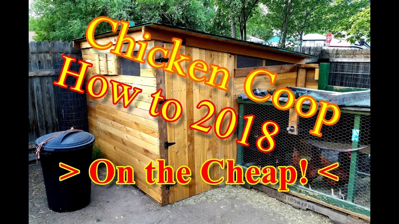 How to build a Chicken Coop - On the Cheap!
