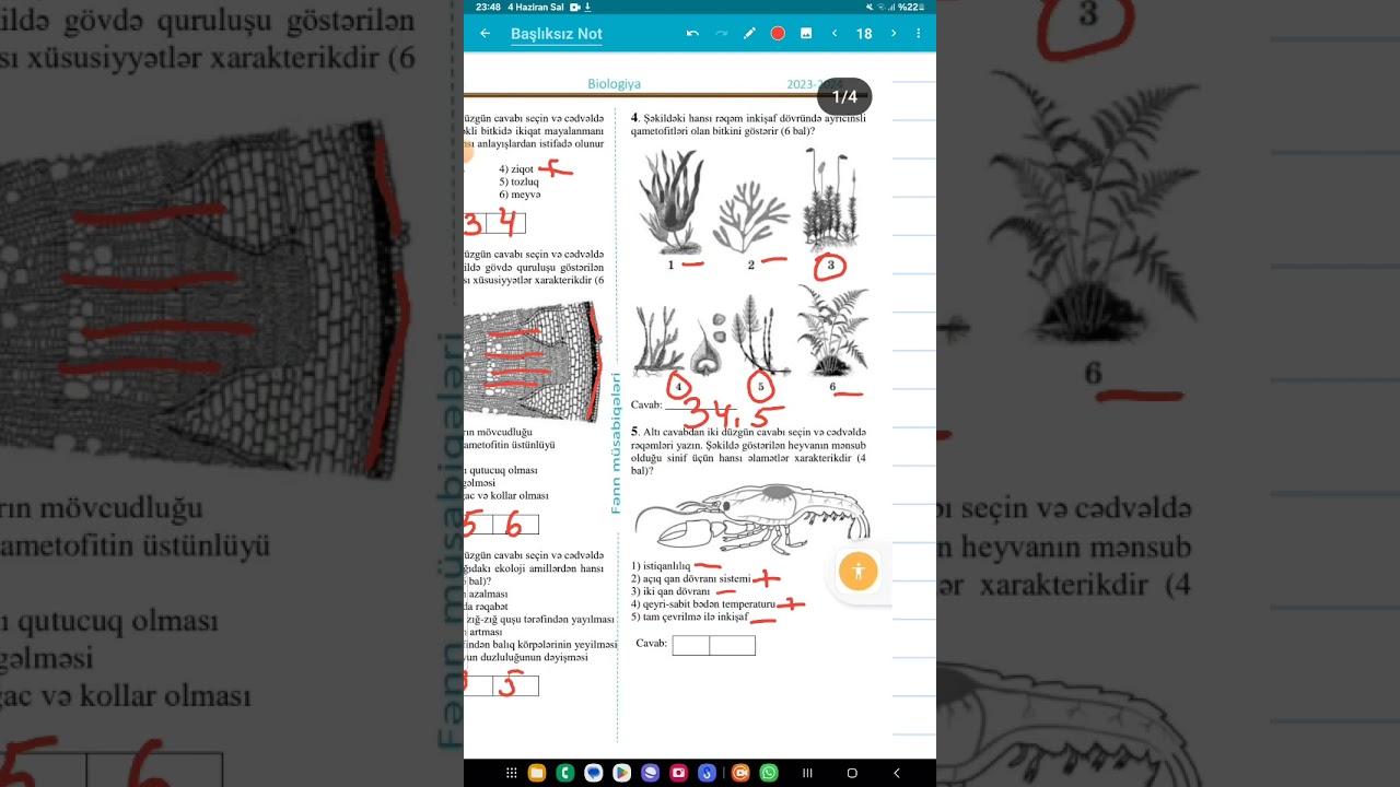 RFM Biologiya Final mərhələsinin sualları